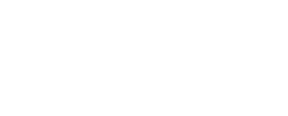 D-MIS